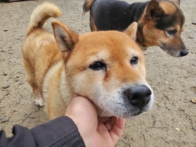 f:id:roukenhome-ann:20191219154754j:plain