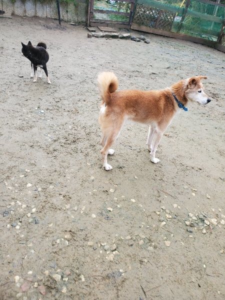 f:id:roukenhome-ann:20191219181836j:plain