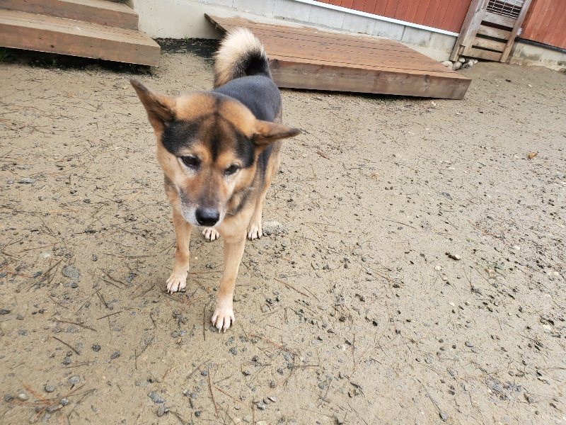 f:id:roukenhome-ann:20191219182102j:plain