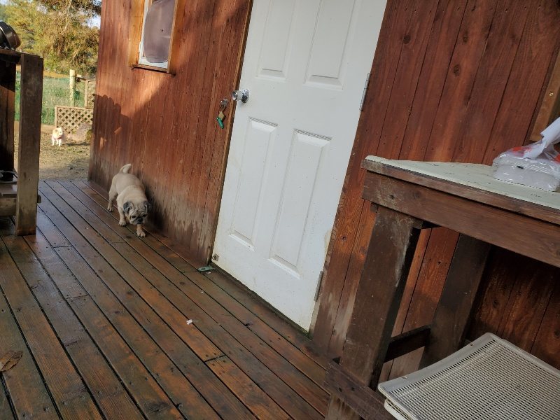 f:id:roukenhome-ann:20191219191837j:plain
