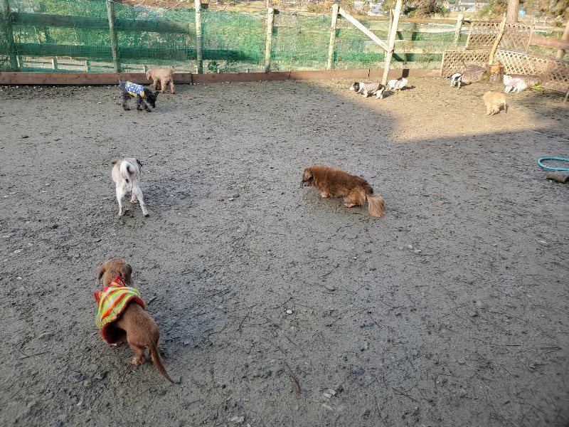 f:id:roukenhome-ann:20191219192326j:plain