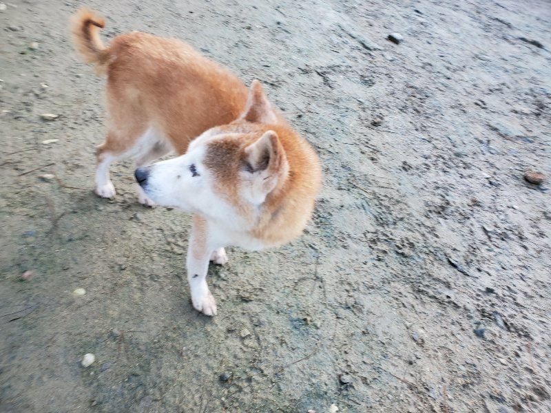 f:id:roukenhome-ann:20191219212738j:plain