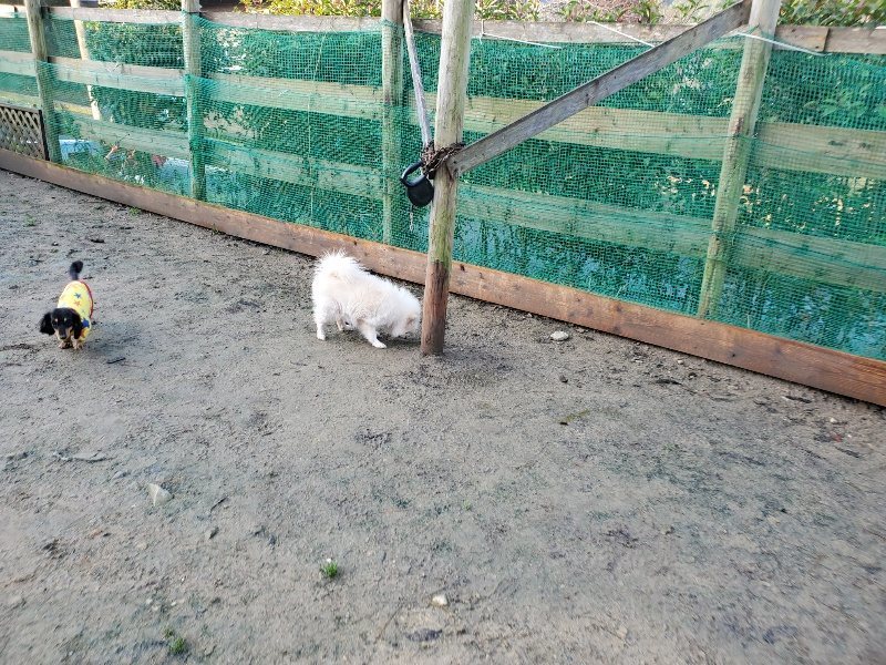f:id:roukenhome-ann:20191219213006j:plain