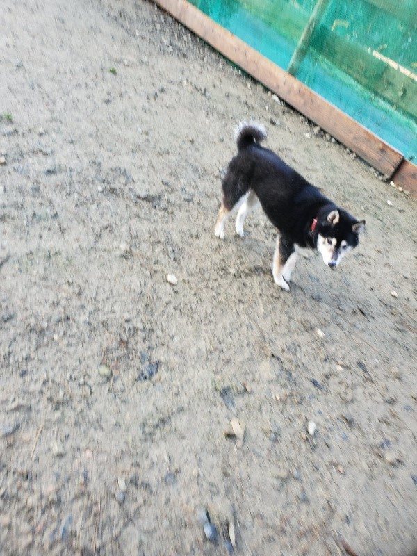 f:id:roukenhome-ann:20191219213122j:plain