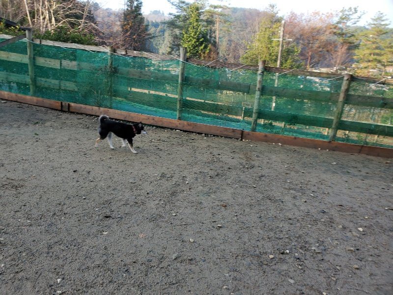 f:id:roukenhome-ann:20191220050356j:plain
