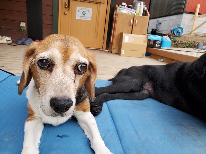 f:id:roukenhome-ann:20191220071259j:plain