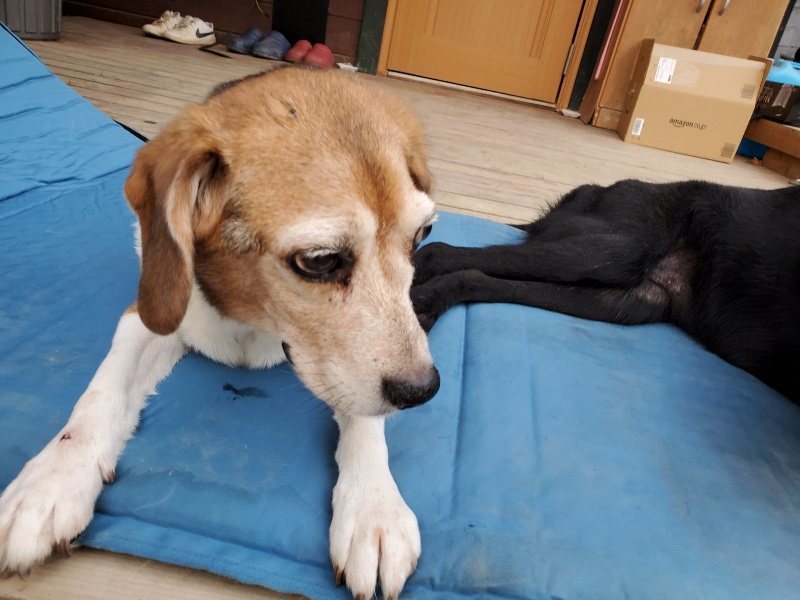 f:id:roukenhome-ann:20191220071308j:plain