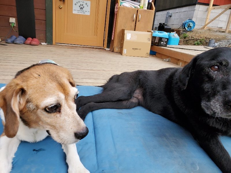 f:id:roukenhome-ann:20191220071316j:plain