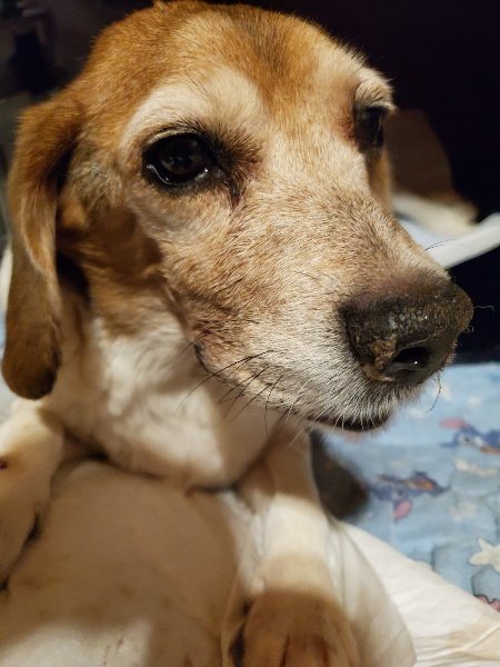 f:id:roukenhome-ann:20191220071849j:plain