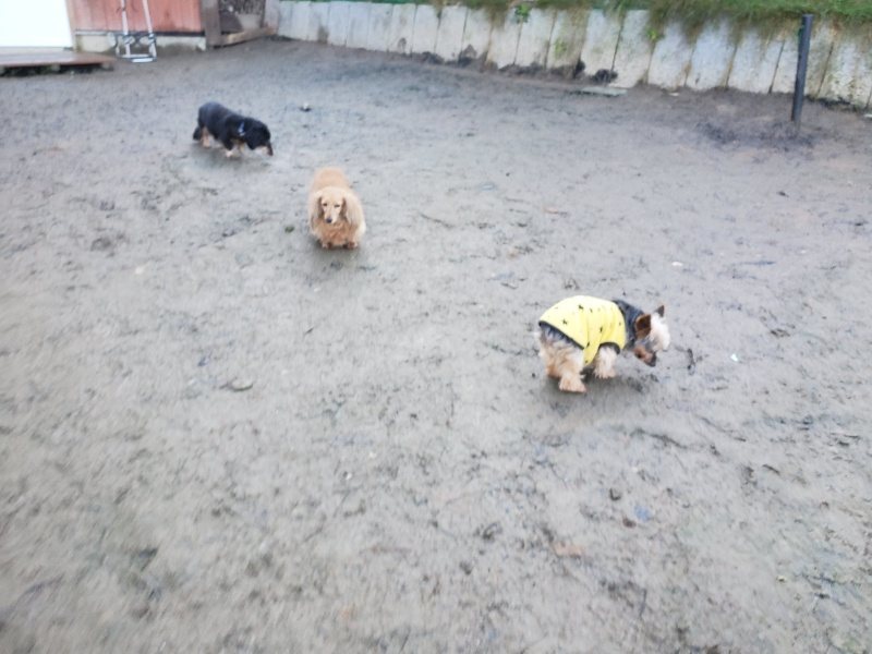 f:id:roukenhome-ann:20191221052919j:plain