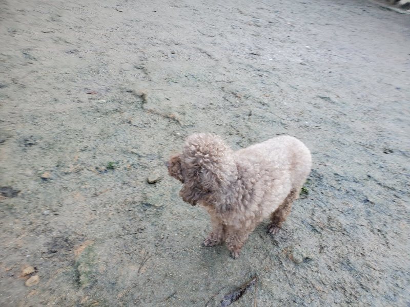 f:id:roukenhome-ann:20191221053415j:plain