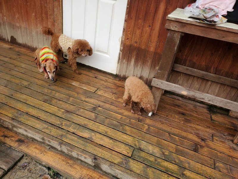 f:id:roukenhome-ann:20191221194625j:plain f:id:roukenhome-ann:20191221194625j:plain