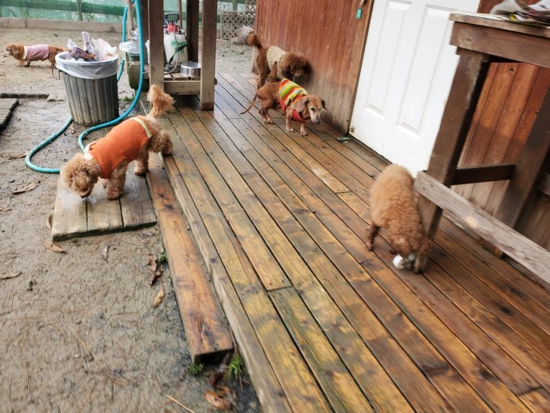 f:id:roukenhome-ann:20191221194637j:plain f:id:roukenhome-ann:20191221194637j:plain