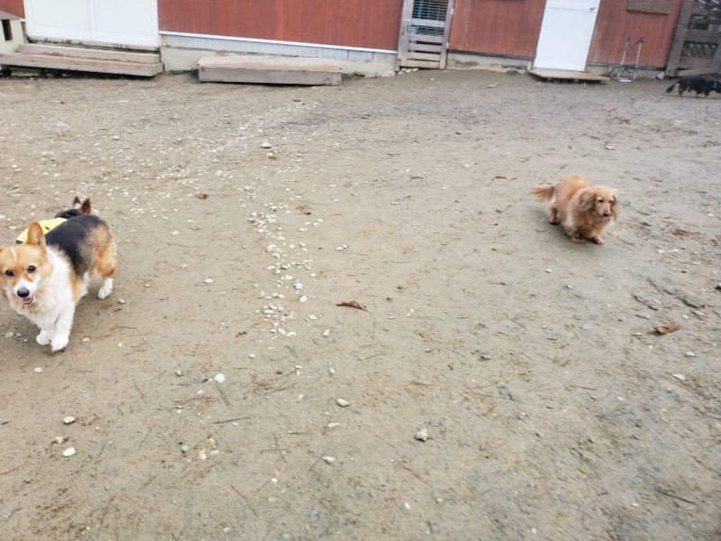 f:id:roukenhome-ann:20191221195655j:plain f:id:roukenhome-ann:20191221195655j:plain