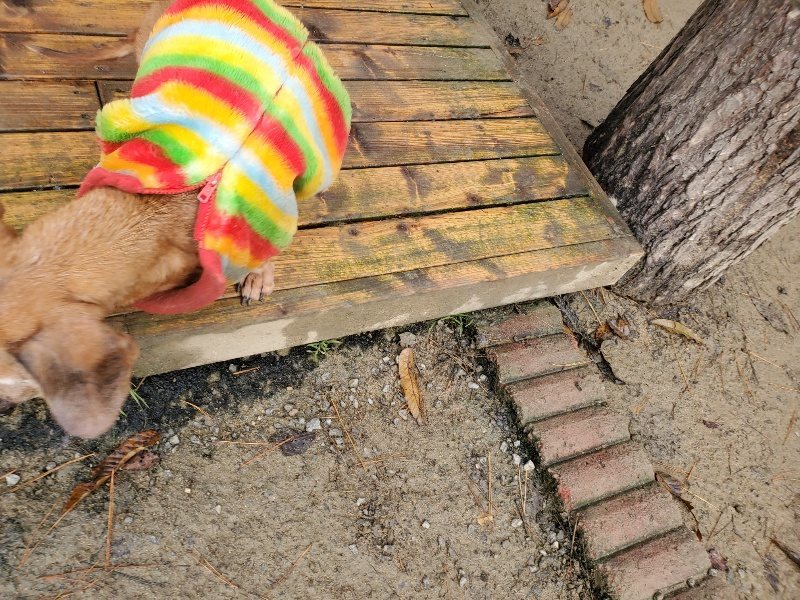 f:id:roukenhome-ann:20191221200145j:plain f:id:roukenhome-ann:20191221200145j:plain