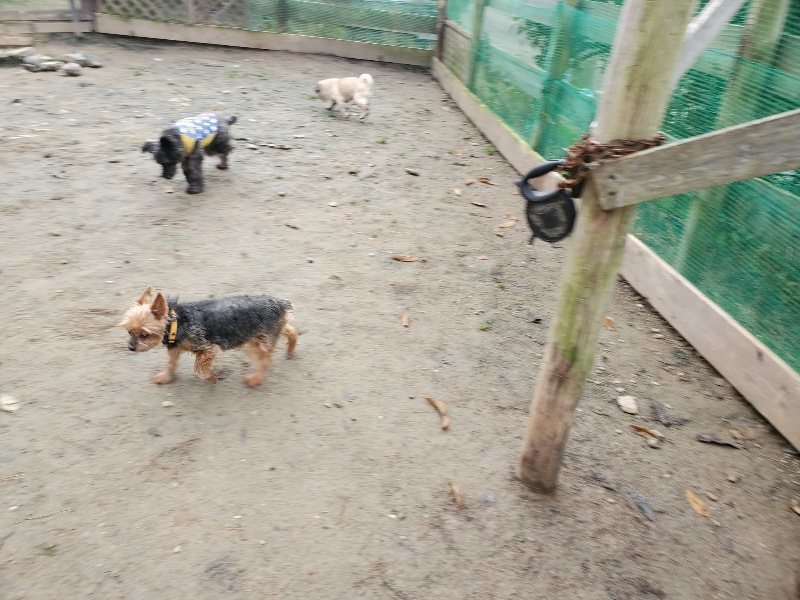 f:id:roukenhome-ann:20191221201216j:plain f:id:roukenhome-ann:20191221201216j:plain