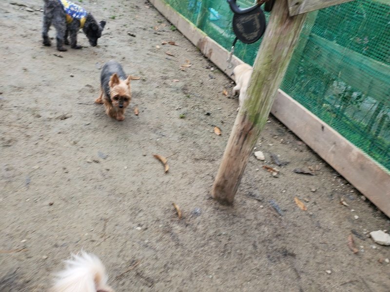 f:id:roukenhome-ann:20191221201234j:plain f:id:roukenhome-ann:20191221201234j:plain