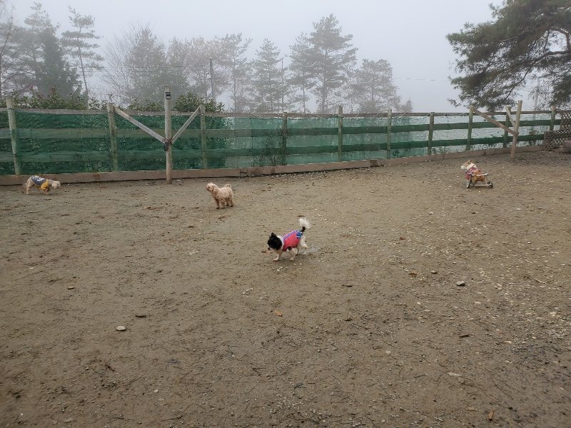 f:id:roukenhome-ann:20191221203722j:plain f:id:roukenhome-ann:20191221203722j:plain