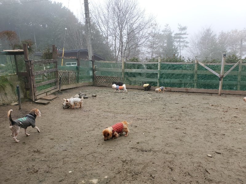 f:id:roukenhome-ann:20191221203737j:plain f:id:roukenhome-ann:20191221203737j:plain