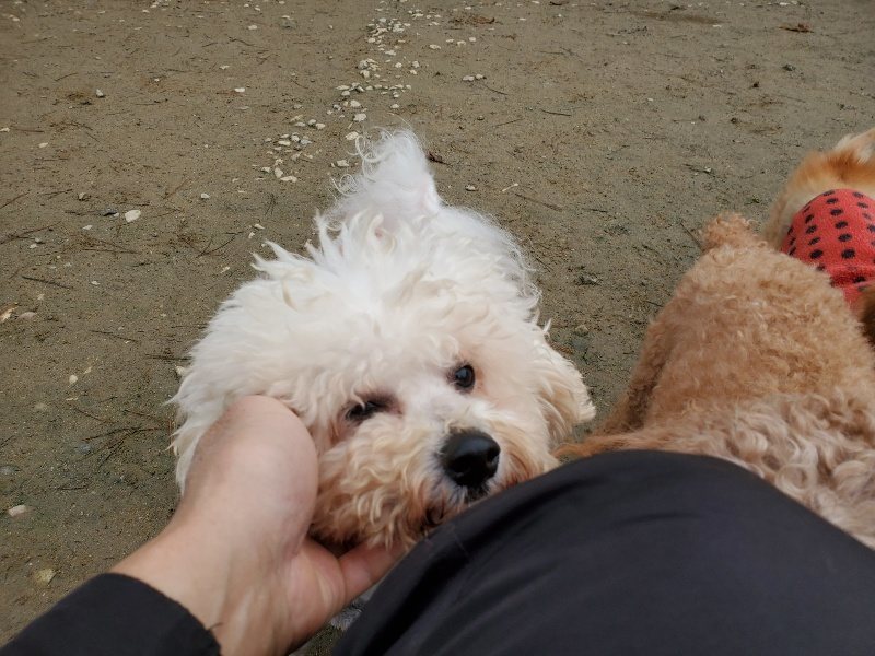 f:id:roukenhome-ann:20191221211339j:plain