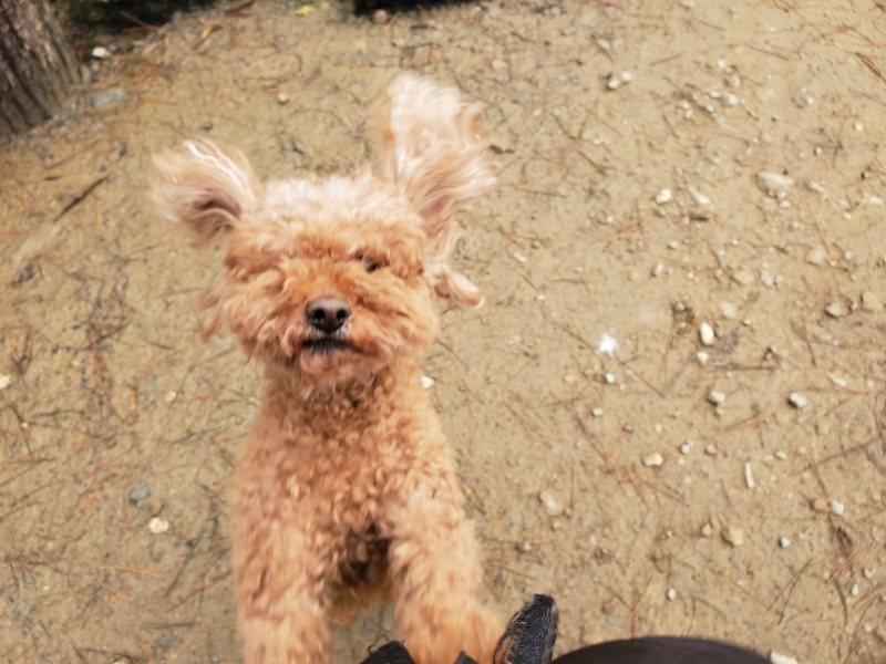 f:id:roukenhome-ann:20191221212838j:plain
