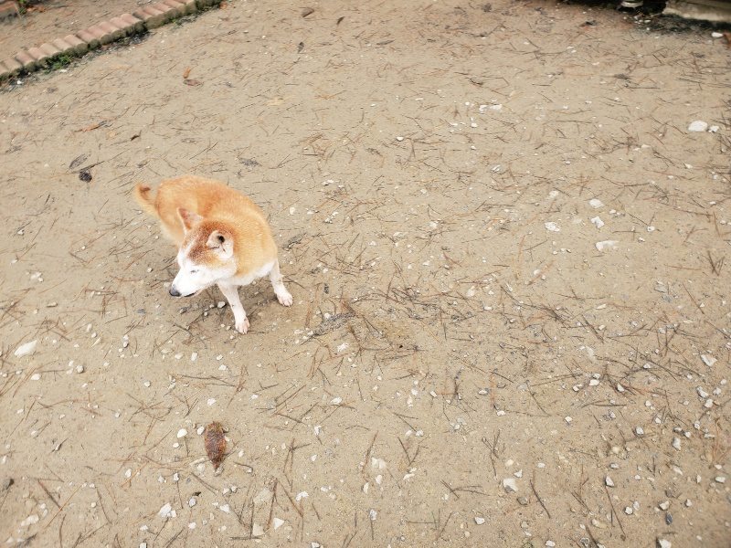 f:id:roukenhome-ann:20191221214511j:plain