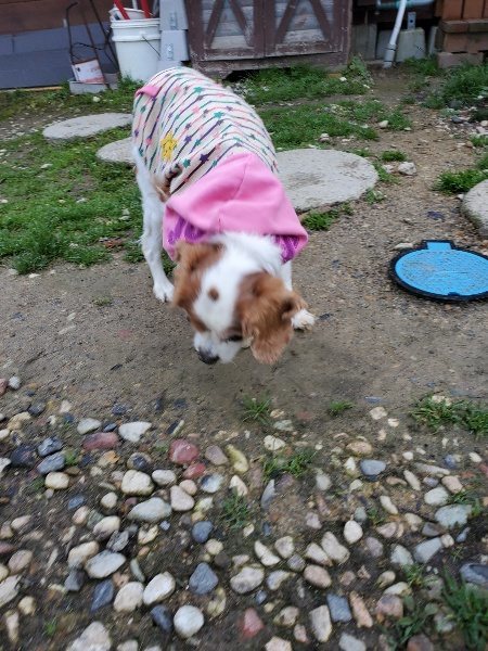 f:id:roukenhome-ann:20191221215038j:plain