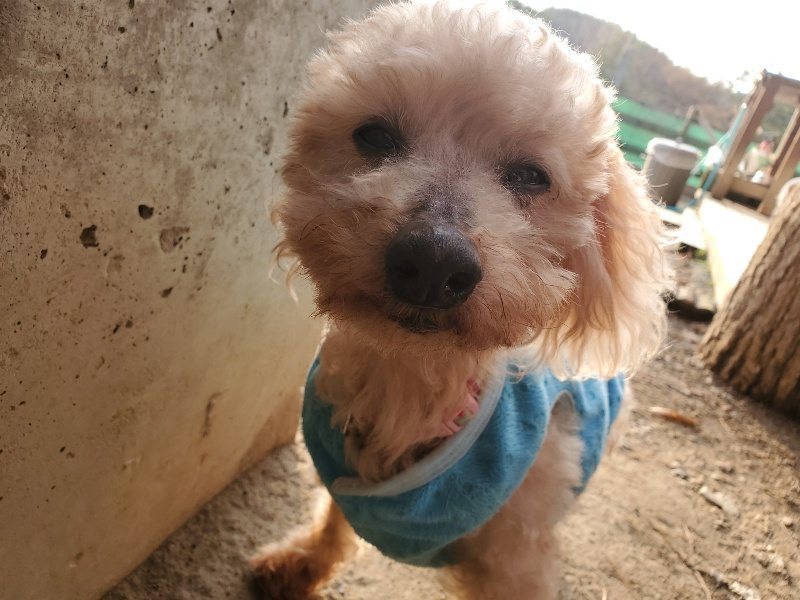 f:id:roukenhome-ann:20191222052814j:plain