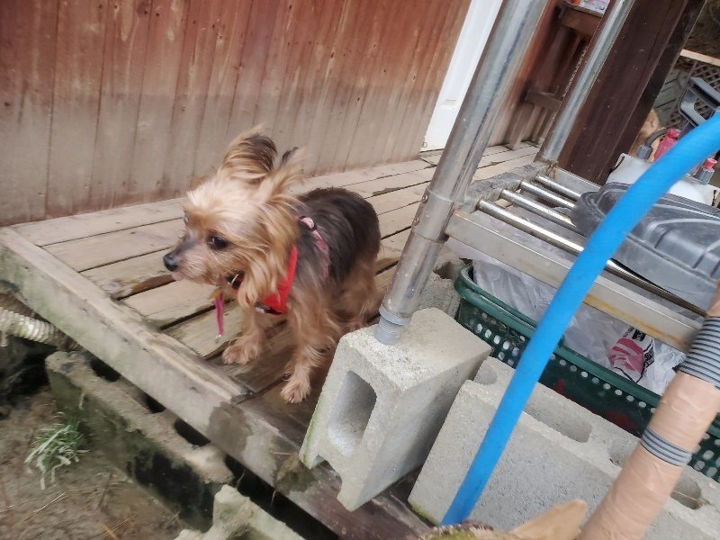 f:id:roukenhome-ann:20191222200339j:plain f:id:roukenhome-ann:20191222200339j:plain
