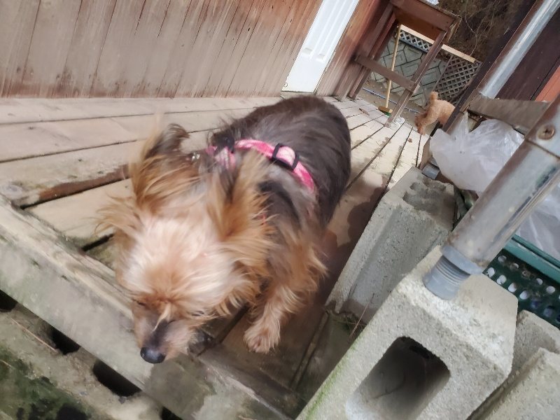 f:id:roukenhome-ann:20191222200348j:plain f:id:roukenhome-ann:20191222200348j:plain