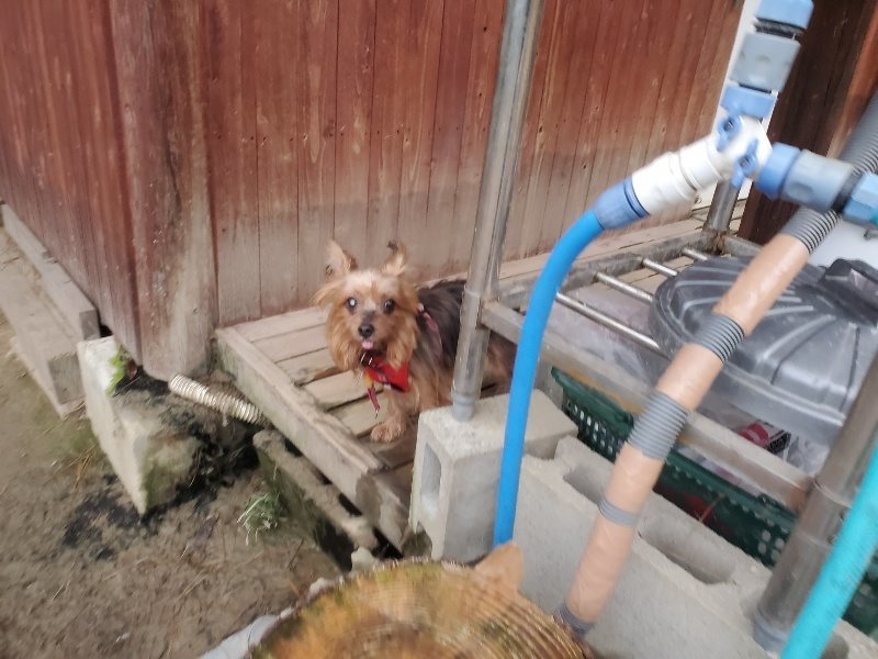 f:id:roukenhome-ann:20191222200357j:plain f:id:roukenhome-ann:20191222200357j:plain