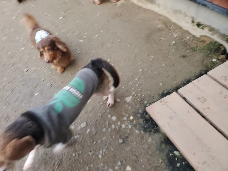 f:id:roukenhome-ann:20191222200425j:plain f:id:roukenhome-ann:20191222200425j:plain