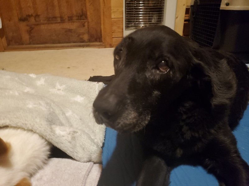 f:id:roukenhome-ann:20191222200702j:plain f:id:roukenhome-ann:20191222200702j:plain