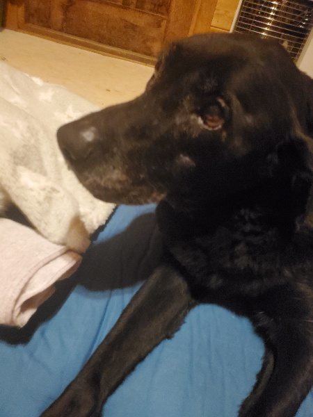 f:id:roukenhome-ann:20191222200742j:plain f:id:roukenhome-ann:20191222200742j:plain
