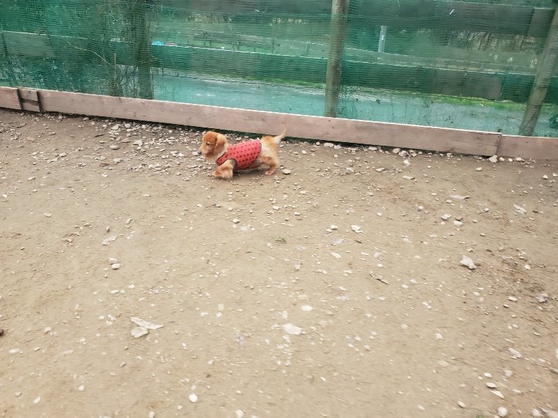 f:id:roukenhome-ann:20191222200819j:plain f:id:roukenhome-ann:20191222200819j:plain