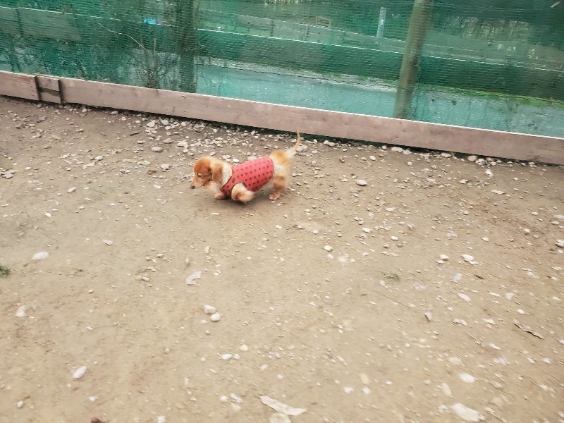 f:id:roukenhome-ann:20191222200827j:plain f:id:roukenhome-ann:20191222200827j:plain