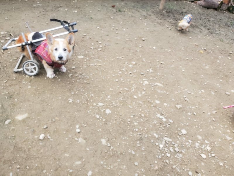 f:id:roukenhome-ann:20191222200844j:plain f:id:roukenhome-ann:20191222200844j:plain