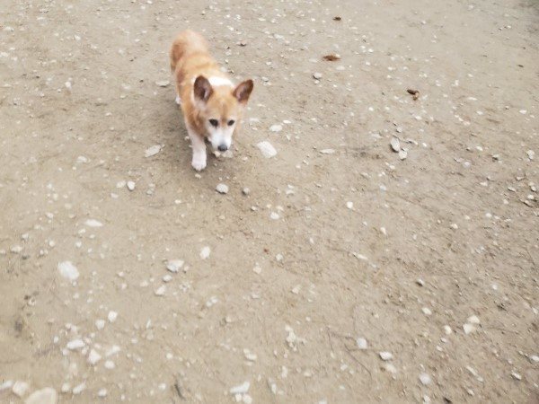 f:id:roukenhome-ann:20191222200854j:plain f:id:roukenhome-ann:20191222200854j:plain