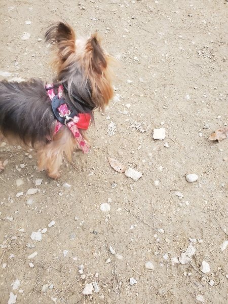 f:id:roukenhome-ann:20191222200918j:plain f:id:roukenhome-ann:20191222200918j:plain