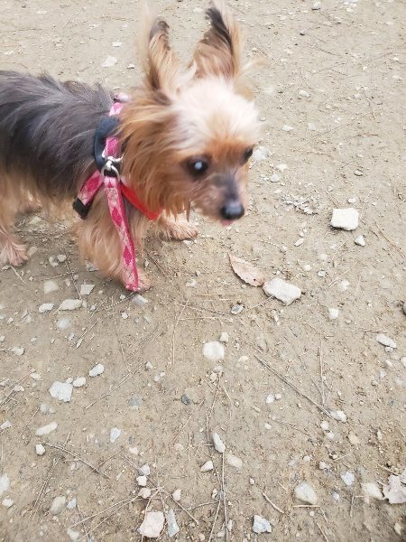 f:id:roukenhome-ann:20191222200931j:plain f:id:roukenhome-ann:20191222200931j:plain