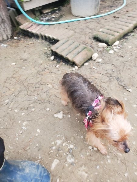 f:id:roukenhome-ann:20191222200952j:plain f:id:roukenhome-ann:20191222200952j:plain