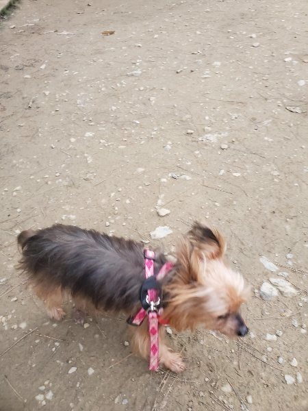 f:id:roukenhome-ann:20191222201001j:plain f:id:roukenhome-ann:20191222201001j:plain