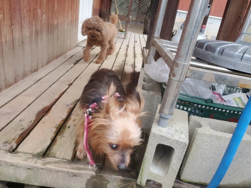f:id:roukenhome-ann:20191222201020j:plain f:id:roukenhome-ann:20191222201020j:plain