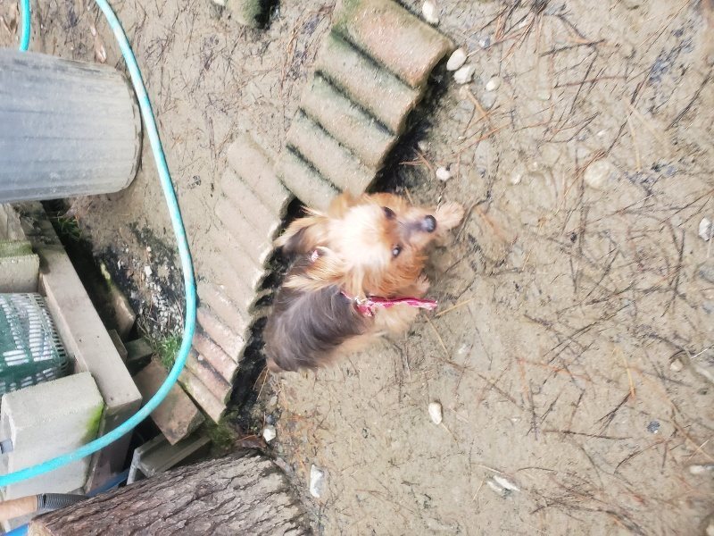 f:id:roukenhome-ann:20191222201037j:plain f:id:roukenhome-ann:20191222201037j:plain