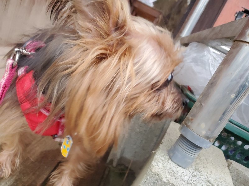 f:id:roukenhome-ann:20191222201054j:plain f:id:roukenhome-ann:20191222201054j:plain