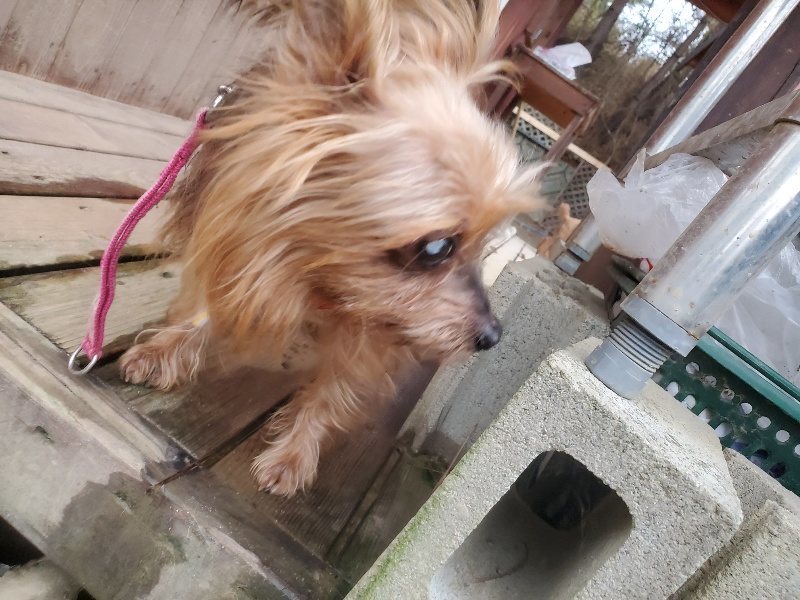 f:id:roukenhome-ann:20191222201104j:plain f:id:roukenhome-ann:20191222201104j:plain
