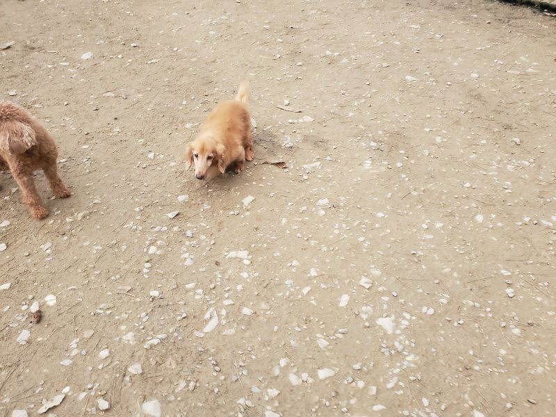 f:id:roukenhome-ann:20191222201456j:plain f:id:roukenhome-ann:20191222201456j:plain