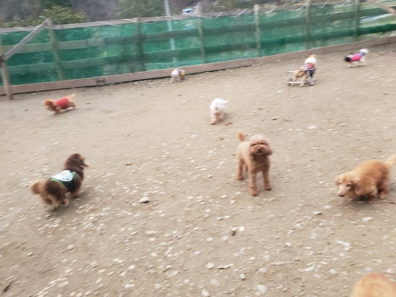 f:id:roukenhome-ann:20191222201511j:plain f:id:roukenhome-ann:20191222201511j:plain