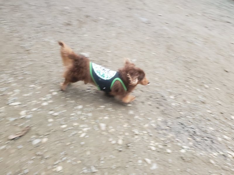 f:id:roukenhome-ann:20191222201526j:plain f:id:roukenhome-ann:20191222201526j:plain