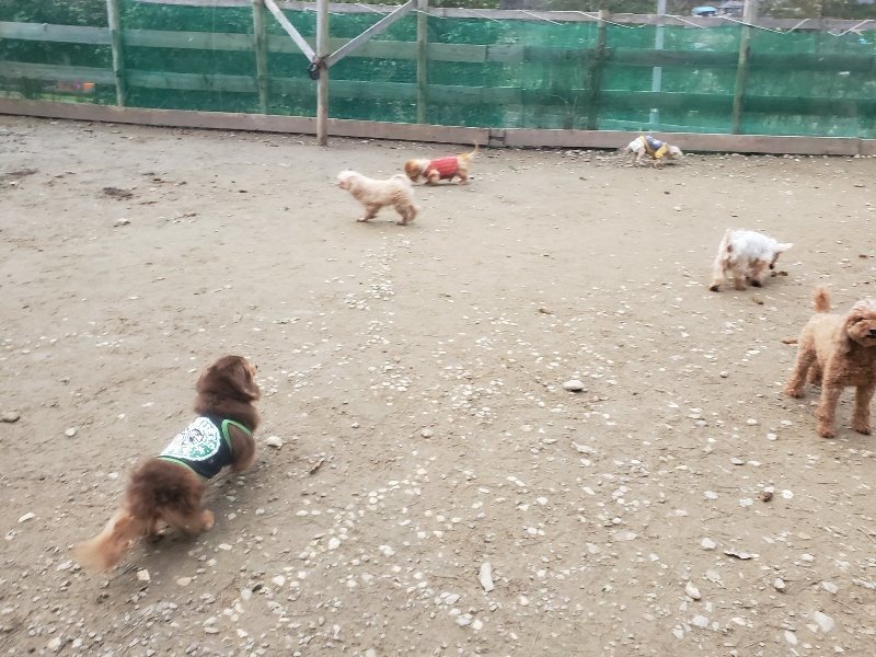 f:id:roukenhome-ann:20191222201548j:plain f:id:roukenhome-ann:20191222201548j:plain